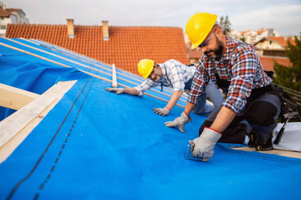 Best Gutter Installation and Roofing  in Thomaston, NY